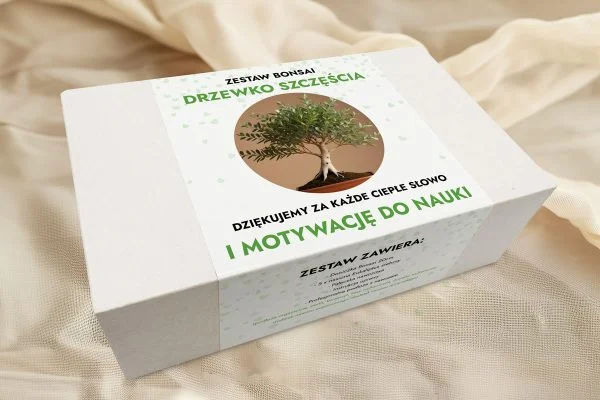 Drzewko szczęścia - Prezent z okazji Dnia Nauczyciela - Zestaw Bonsai - Eukaliptus Srebrny